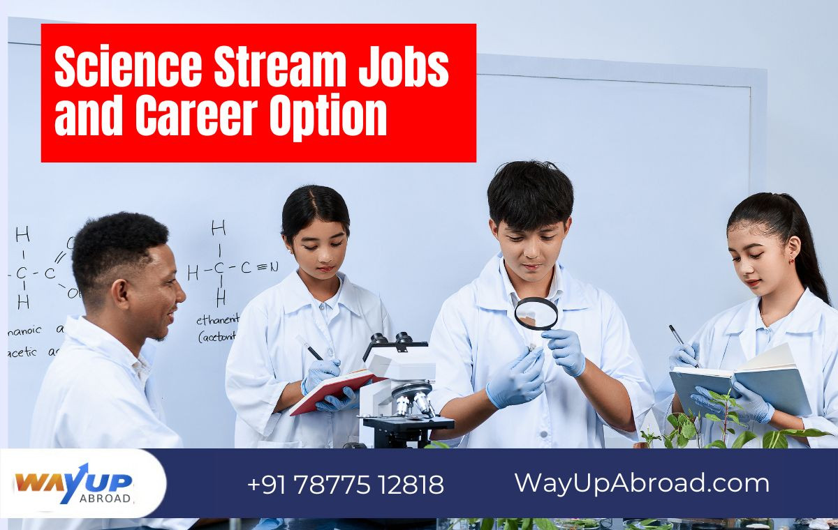 Science Stream Career Options, Job Options After 12th